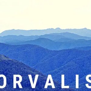 Avatar for Orvalis