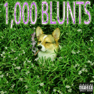 1000 BLUNTS