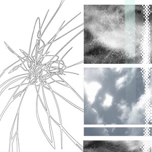 soft(ware)