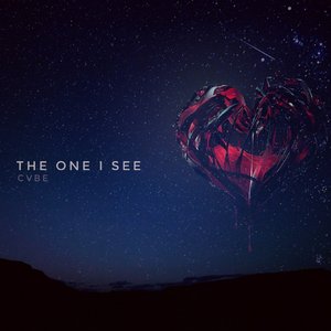 The One I See
