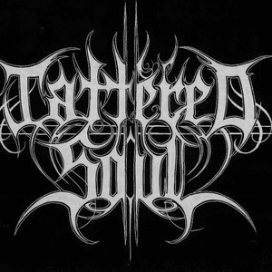 Avatar for Tattered Soul
