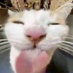 fwpmachine için avatar