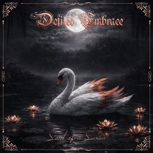 Soul Of A Swan