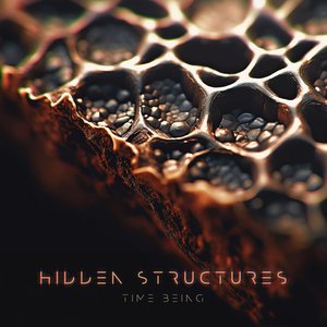 Hidden Structures