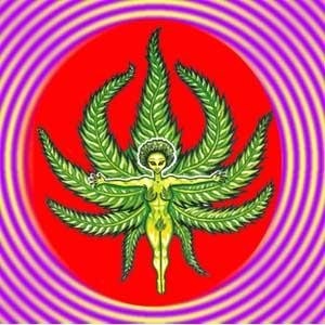 Avatar for Electrofunkadelica