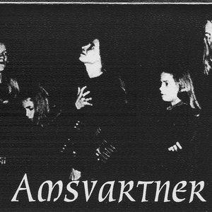 Avatar for Amsvartner