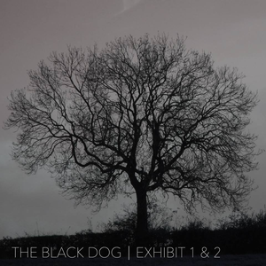 Exhibit 1 & 2 by The Black Dog