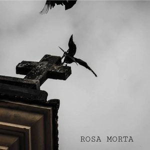 Avatar for Rosa Morta