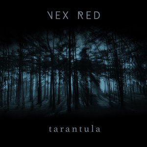 Tarantula