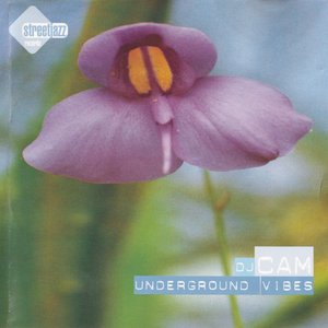 Underground Vibes