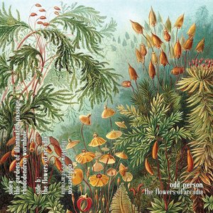 The Flowers of Arcadia