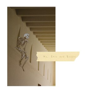 Mr. Skin and Bones