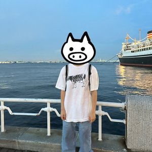 Avatar for lilbesh ramko