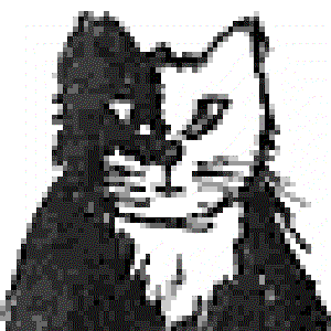 Avatar for koth