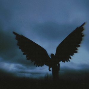 Avatar for NoWayBack