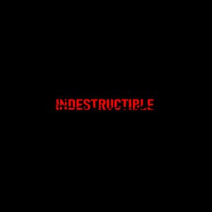 Indestructible