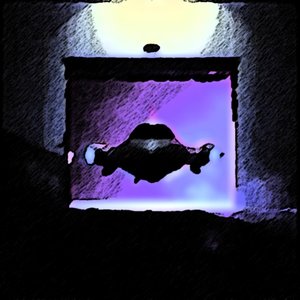 The Hangar Door Opens