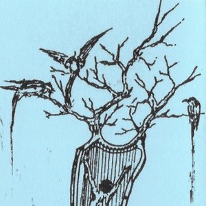 Trance Flexure