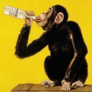 Avatar for Drunken Monkey