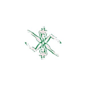 Avatar for Moondivve
