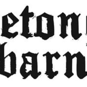 Avatar for betongbarn