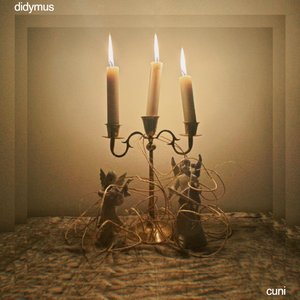 didymus