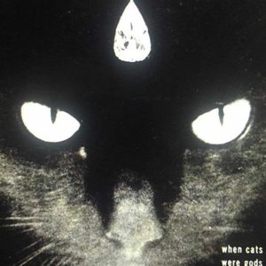 Avatar for VVITch