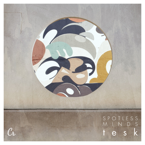 Spotless Minds by TESK