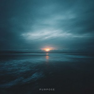 Purpose