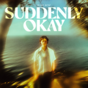 Copertina di Never Let Go