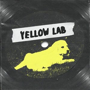 Yellow Lab - Single