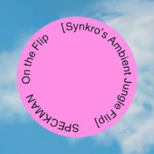 On the Flip (Synkro's Ambient Jungle Flip)