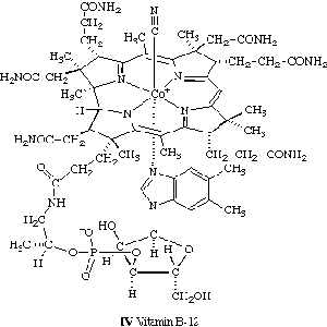 Avatar for the vitamin b12