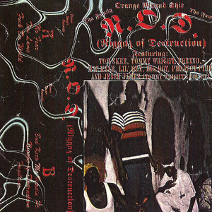 Niggaz Of Destruction by N.O.D.