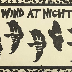 Avatar for Wind At Night