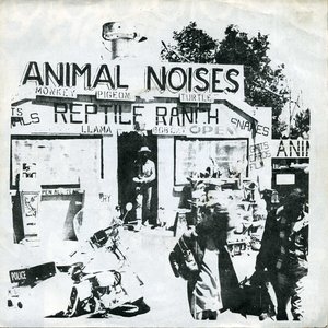 Animal Noises