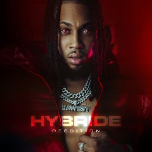 Hybride (Réédition)