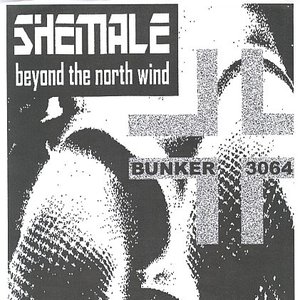 beyond the north wind