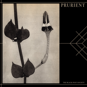 The Black Post Society by Prurient