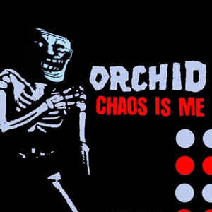 Orchid