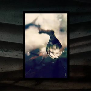 Dreamy Rain