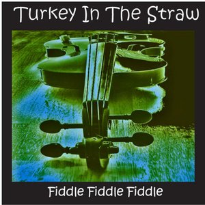 Turkey In the Straw and Other Country Fiddle Hits