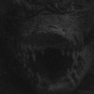 CROCODILE TEARS