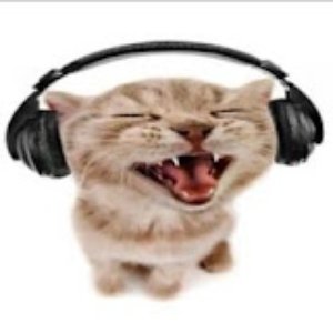 Avatar for kysmelo