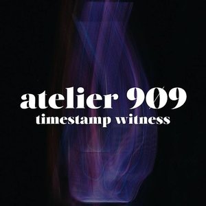 Timestamp Witness