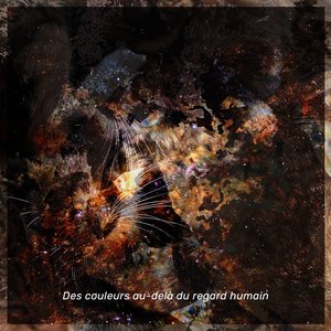 Des couleurs au-delà du regard humain