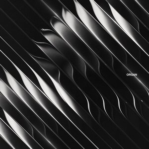 Organ [Explicit]