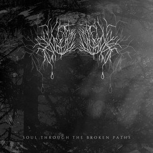 Soul Through The Broken Paths