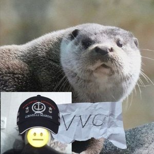 Avatar for VVC