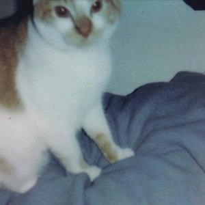 Avatar for frans asthma